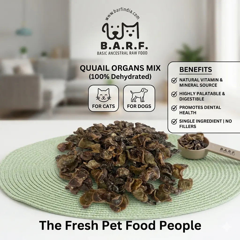 A pile of Quail Organ Mix - Cat Treats (60 gms) from www.barfindia.com is shown on a green mat with a small bowl beside it. Icons indicate suitability for cats and dogs, while brand details are visible in the background.