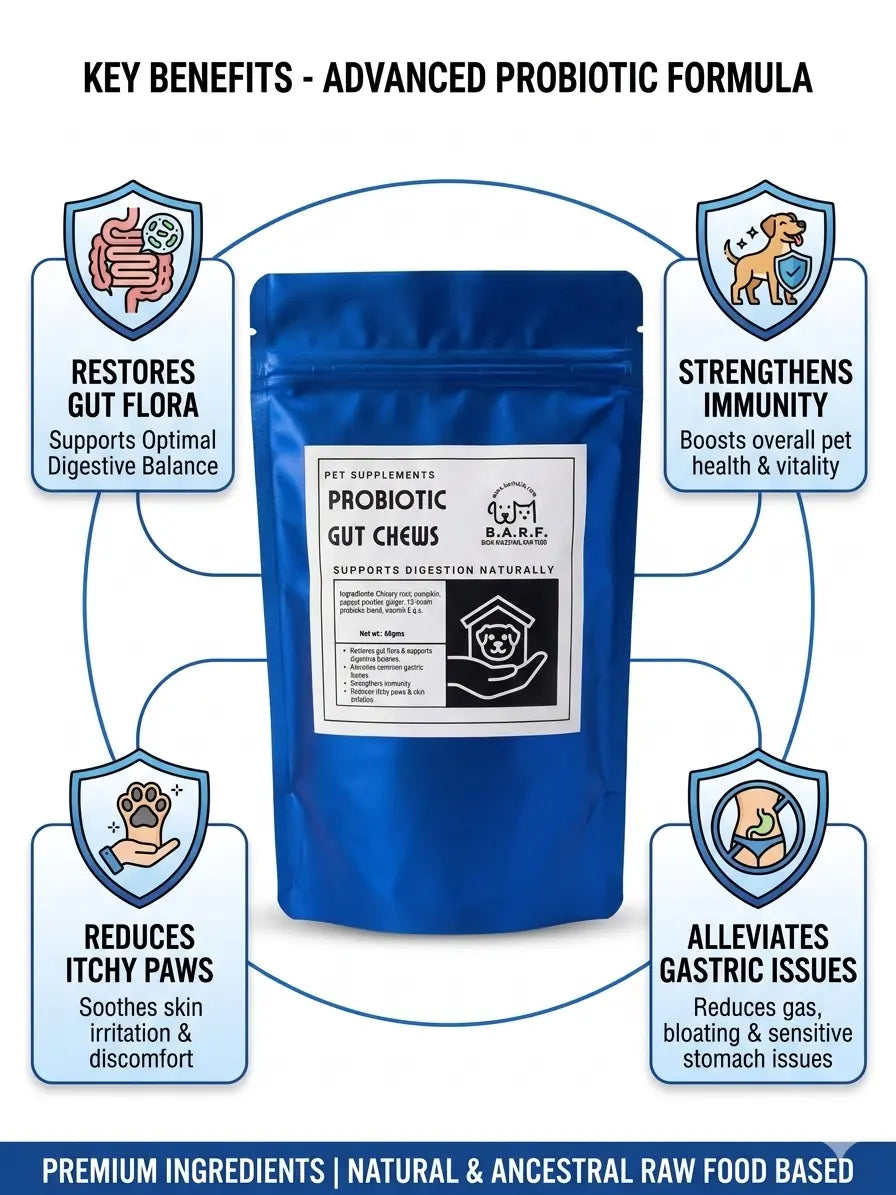 A blue www.barfindia.com Probiotic Gut Chews for Dogs – Support Digestion Naturally bag is centered, surrounded by icons and text highlighting benefits: restores gut flora, boosts immunity, soothes itchy paws, and eases gastric issues.