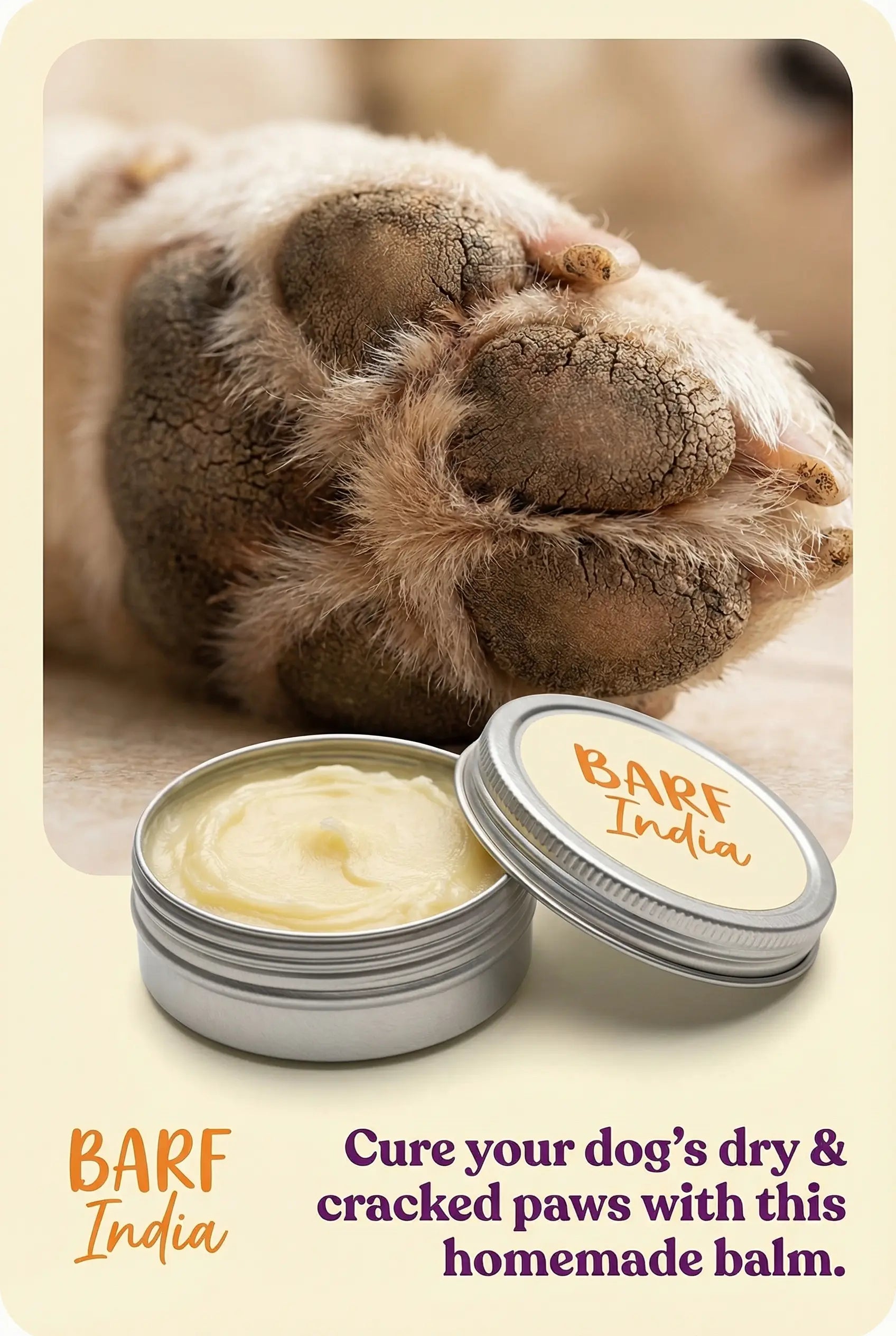 Dogs Paw Balm Tallow