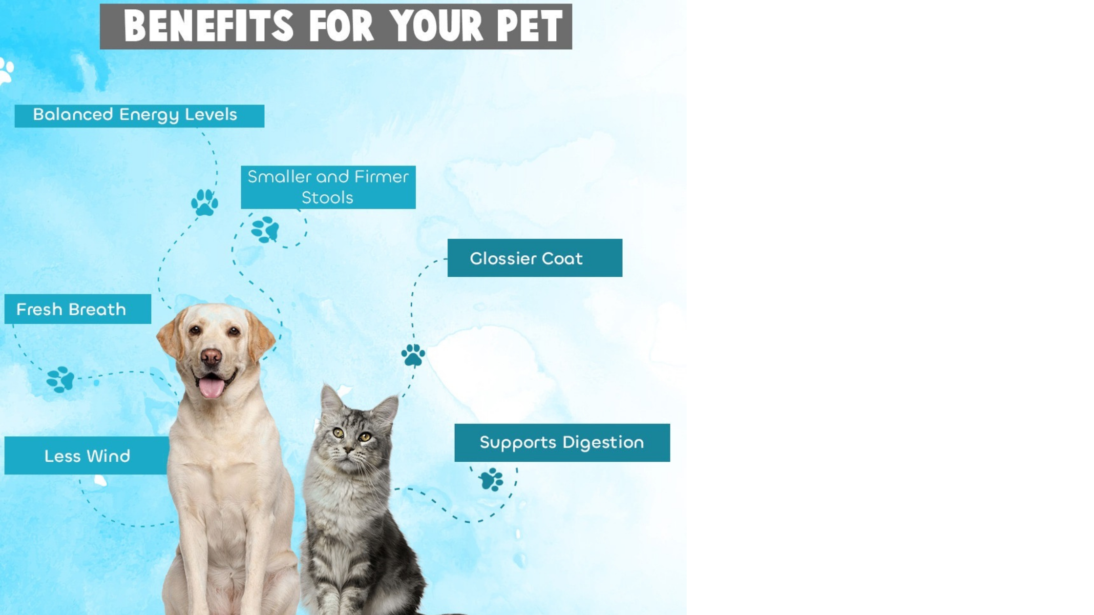 The best online PetFood store.