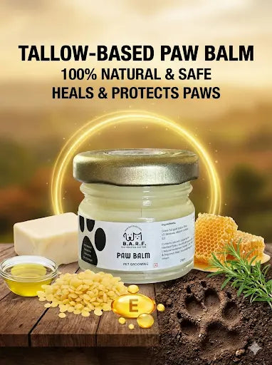 Tallow dog paw balm