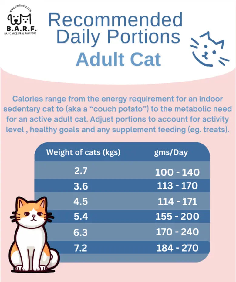 An infographic titled “Recommended Daily Portions: Adult Cat” displays daily amounts of Cooked Cat Food - Grain Free Rabbit & Quail Recipe (1.75kg, 7x250g) for cats from 2.7kg to 7.2kg, with tips on activity and supplement adjustments from www.barfindia.com.