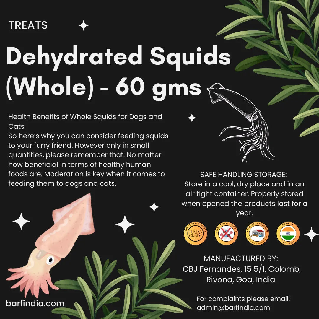 An informational poster for Dog Treats - Dehydrated Squids (Whole) - 60g by www.barfindia.com for dogs and cats, highlighting high-protein health benefits, storage tips, contact info, a squid image, and circular certification icons.