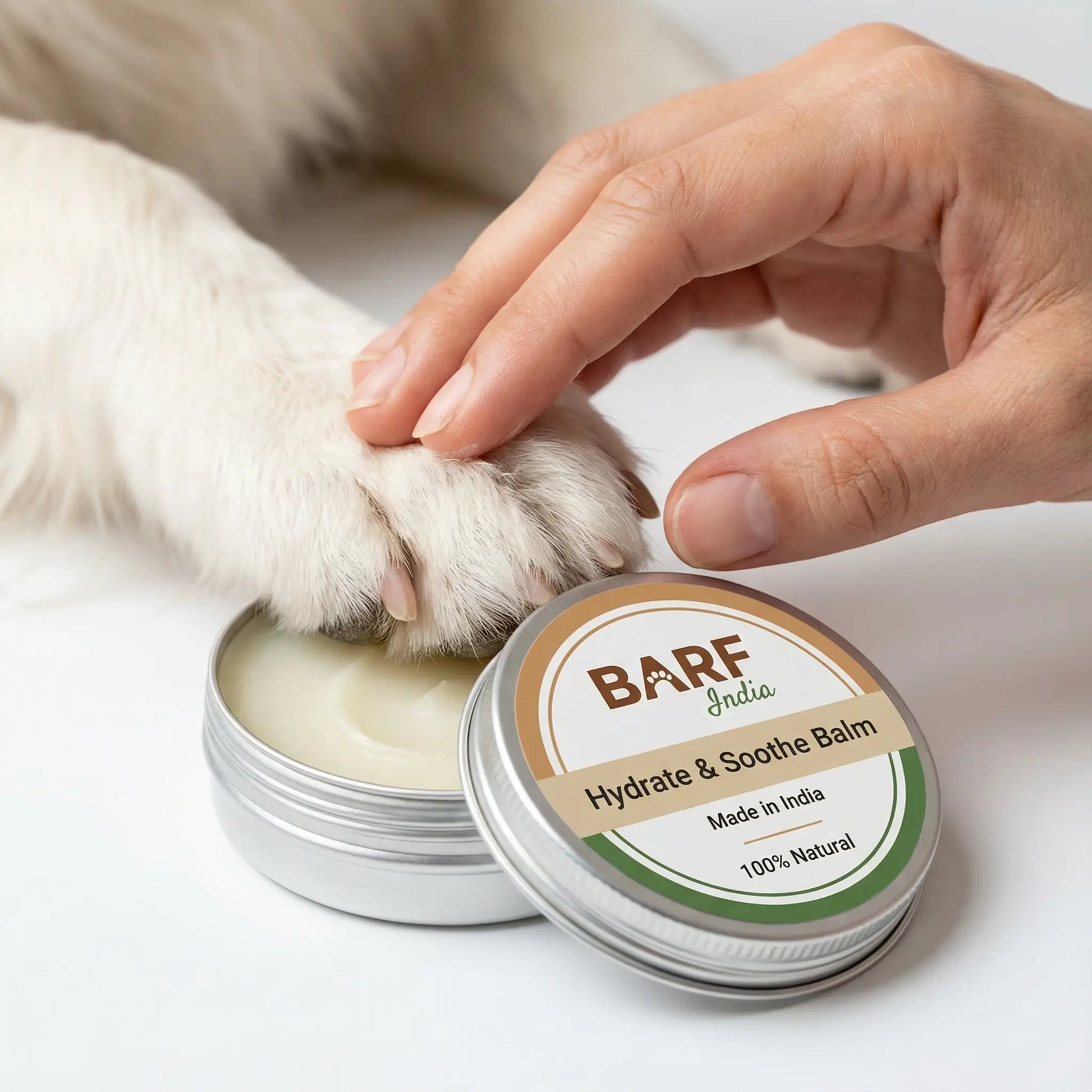 Tallow Dog Paw Balm