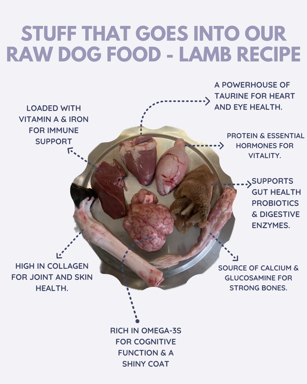 RAW DOG FOOD