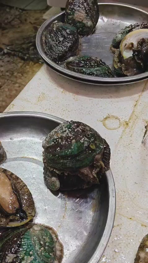 Joint Health - Dehydrated Green Lipped Mussels - 60 gms