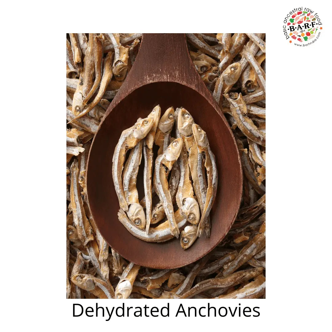 A wooden spoon filled with Dog Treats Natural Omega 3 - Dehydrated Anchovies (100 gms) by www.barfindia.com rests on a pile of similar treats. 