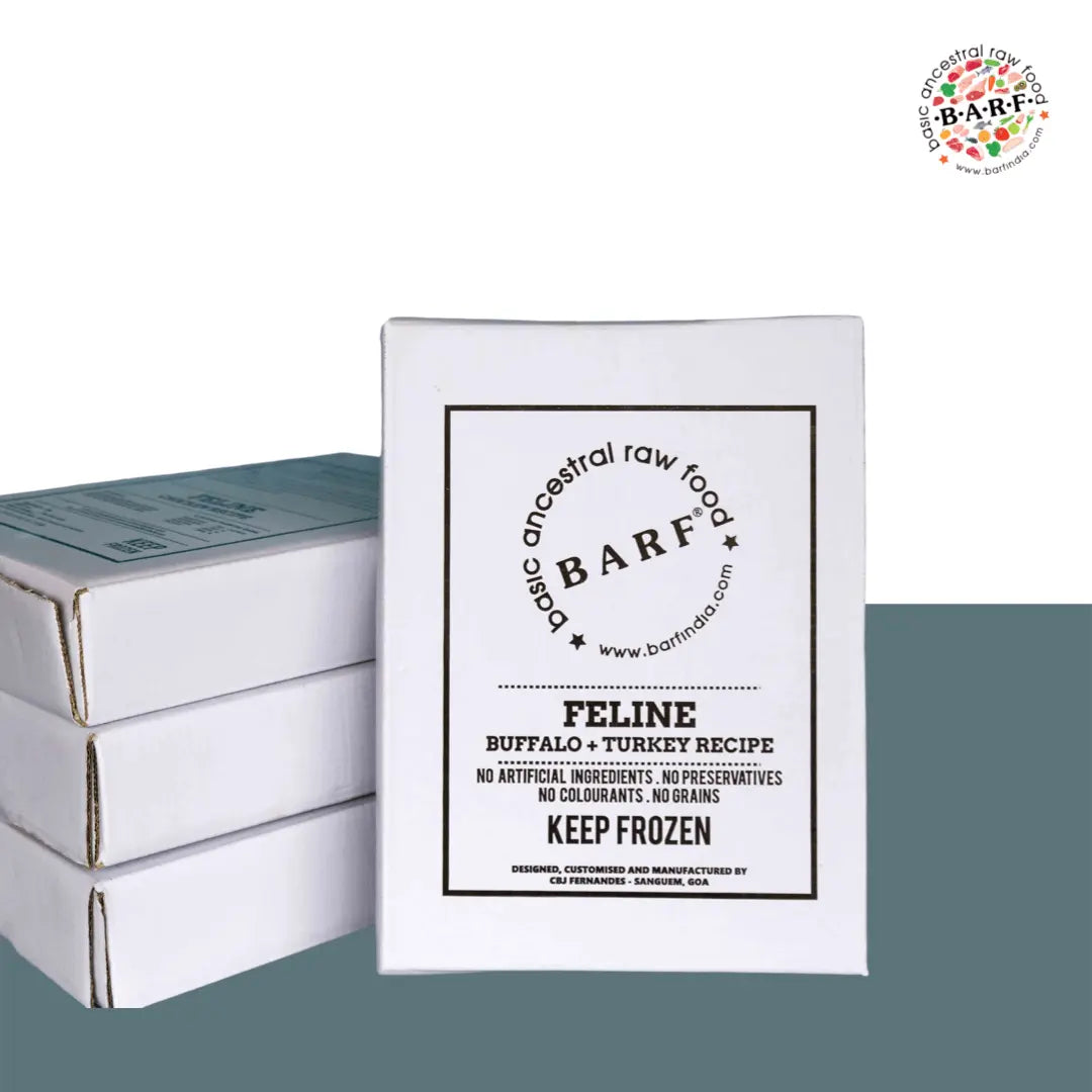 A stack of rectangular white boxes labeled www.barfindia.com displays Raw Cat Food – High-Protein Buffalo & Turkey Blend. The front box shows product details, with a circular logo in the top right corner.