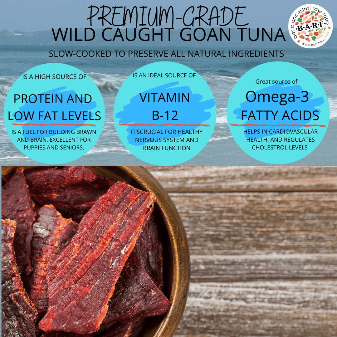 Tuna Fish Jerky