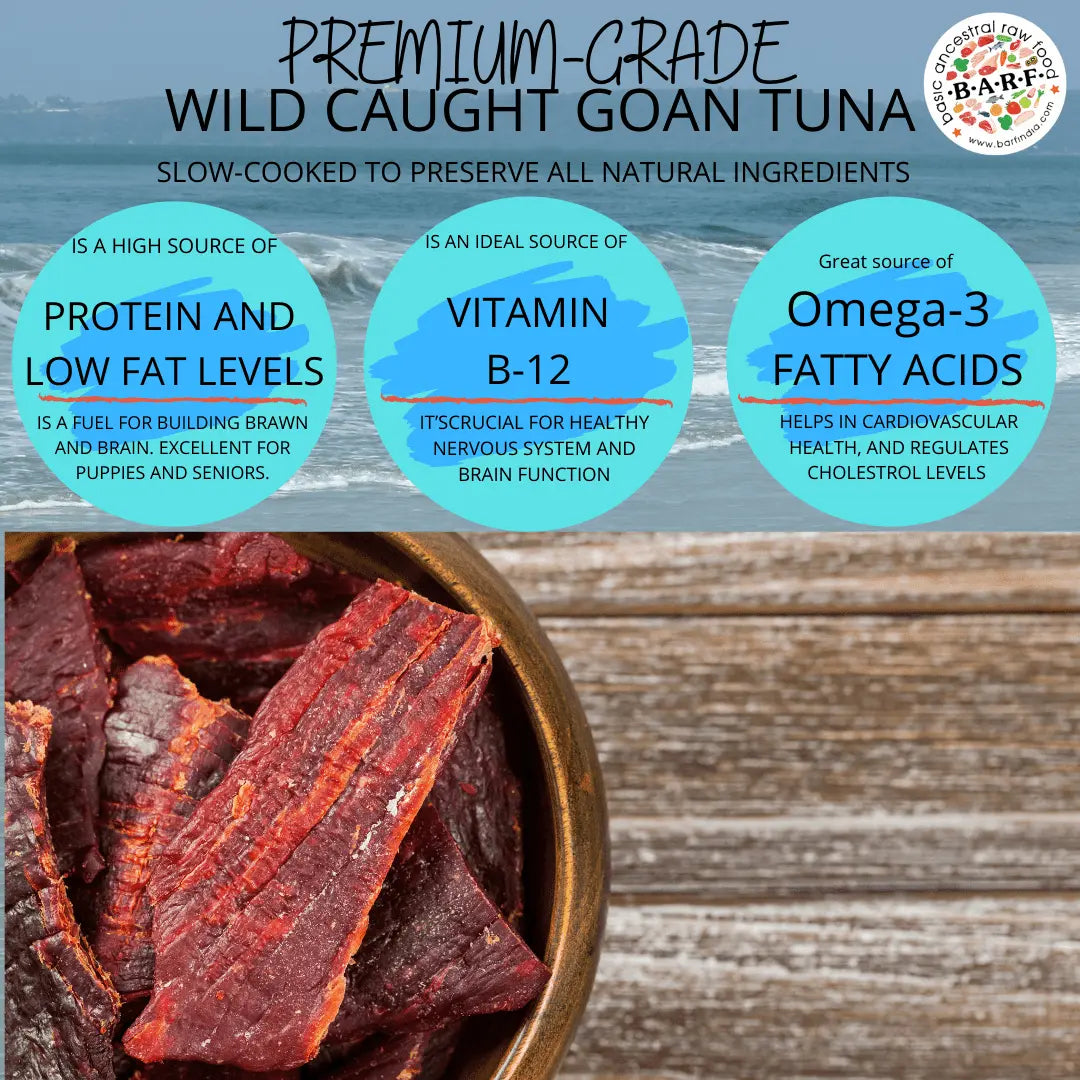 Tuna Fish Jerky