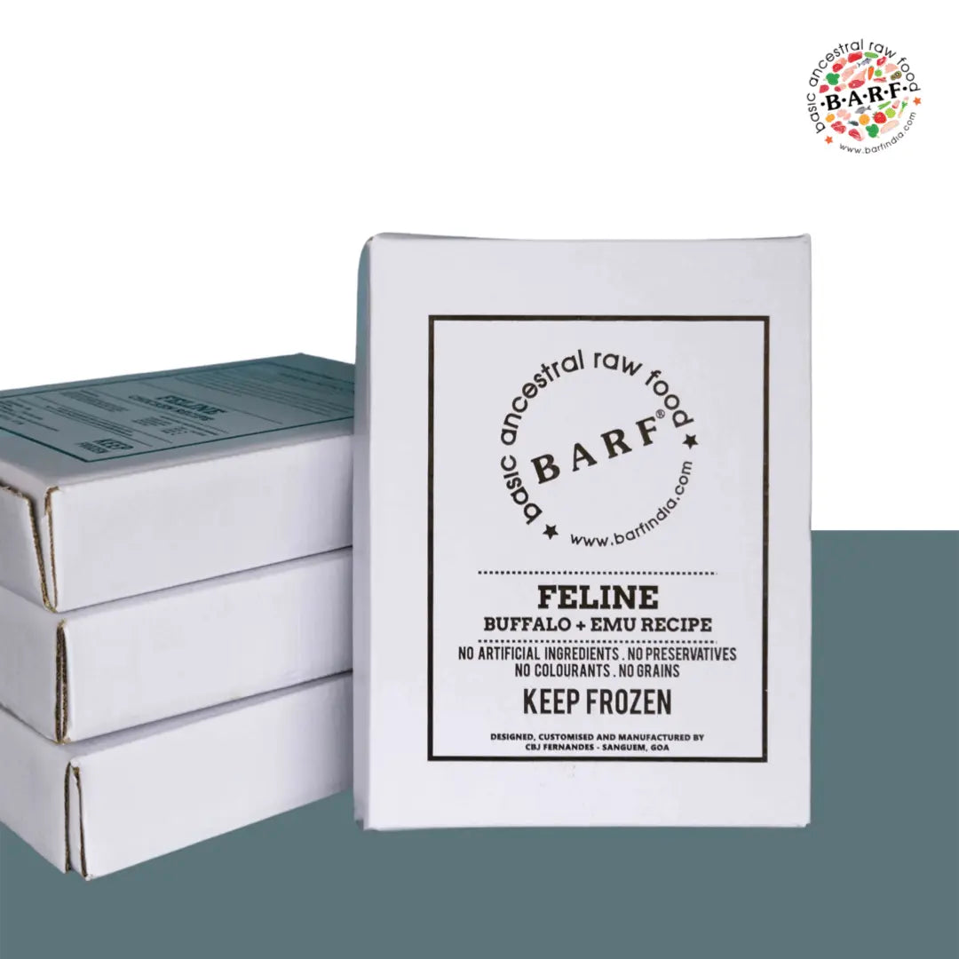A white box labeled www.barfindia.com Raw Cat Food – Buffalo and Exotic Emu Protein Blend stands upright before three stacked boxes, highlighting this allergy-friendly, all-natural recipe with keep-frozen instructions.