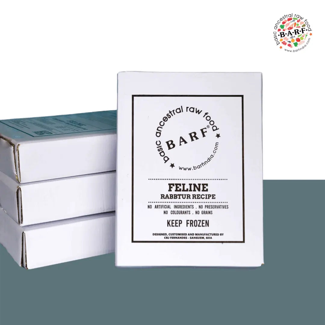 A white box labeled www.barfindia.com shows Raw Cat Food – Nutrient-Rich Rabbit & Turkey - Rabbtur Recipe for cats, made with real rabbit and turkey and free from artificial ingredients, preservatives, colorants, or grains. Three more boxes are stacked nearby.