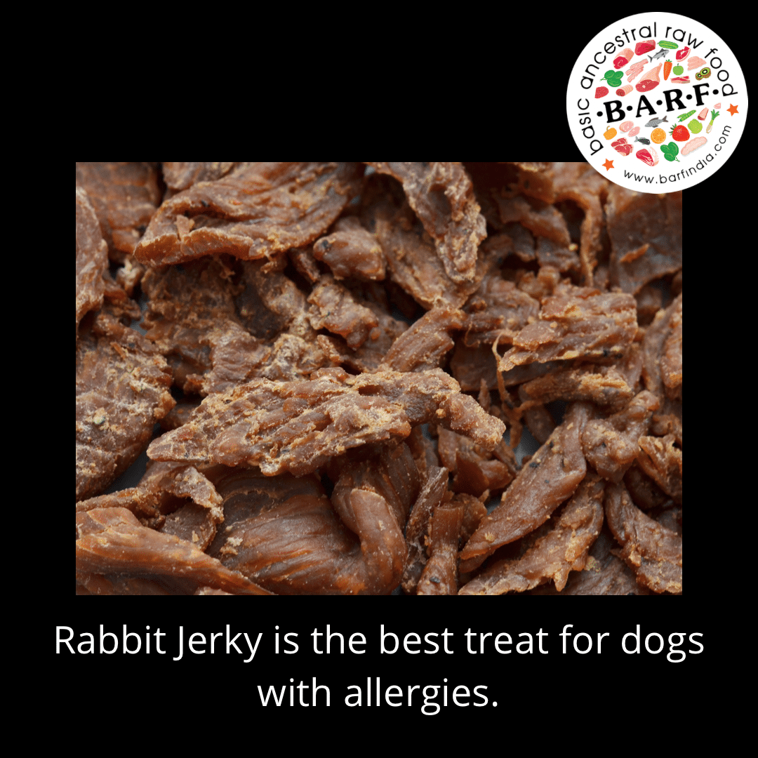 rabbit jerky