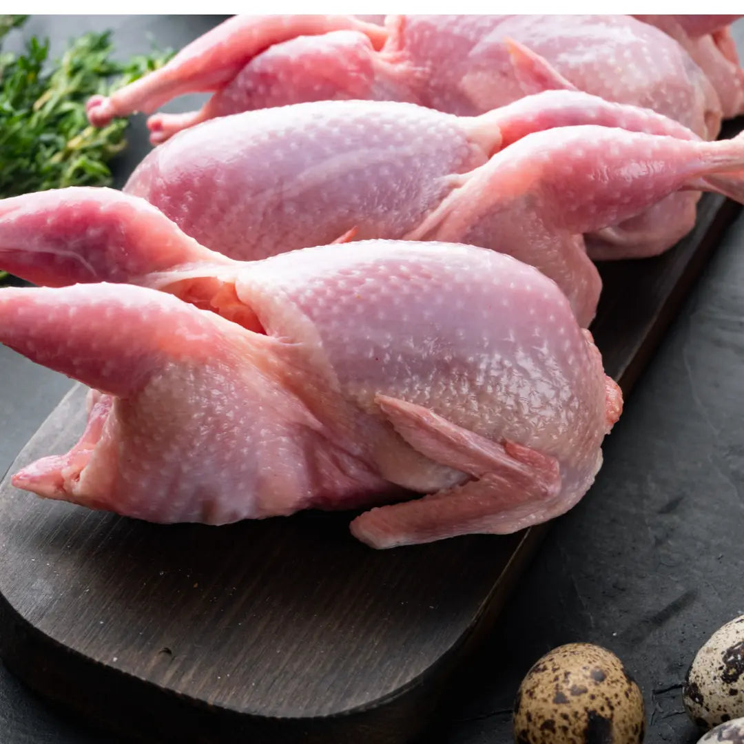Www.barfindia.com’s Raw Dog Food – Whole Quail Recipe for Dogs (4kgs) features nutrient-rich, whole quails—ideal for grain-free, balanced meals. Fresh herbs and quail eggs add wholesome inspiration for your pet’s diet.