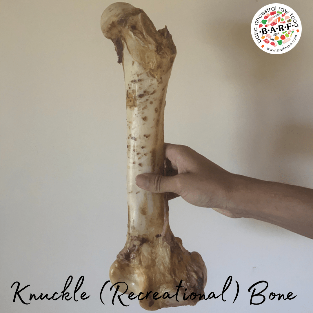 Knuckle Bone www.barfindia.com
