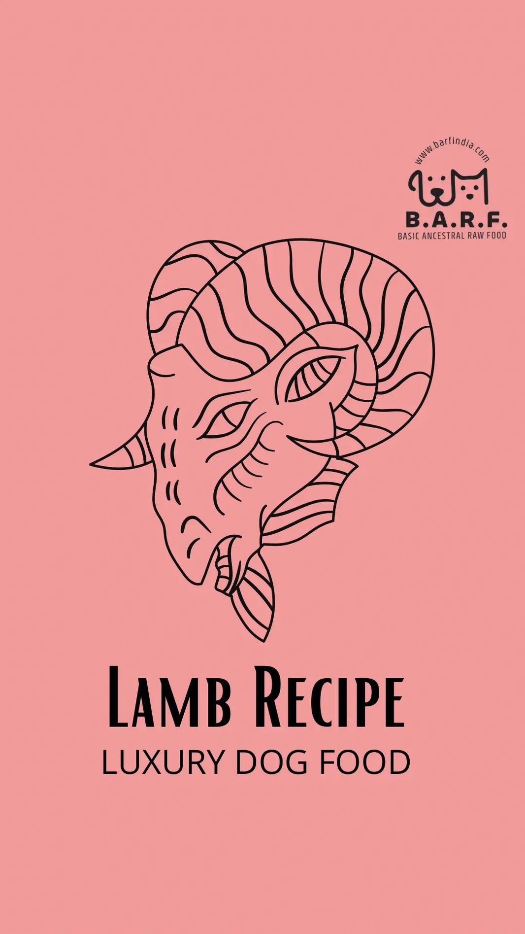 The best online PetFood store.