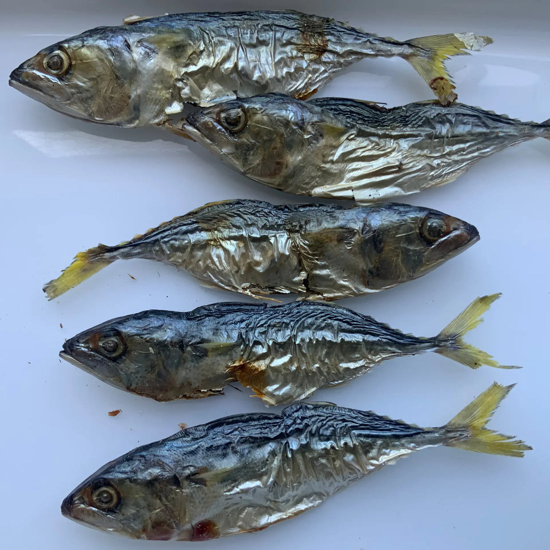 Dehydrated Mackerel 100 gms