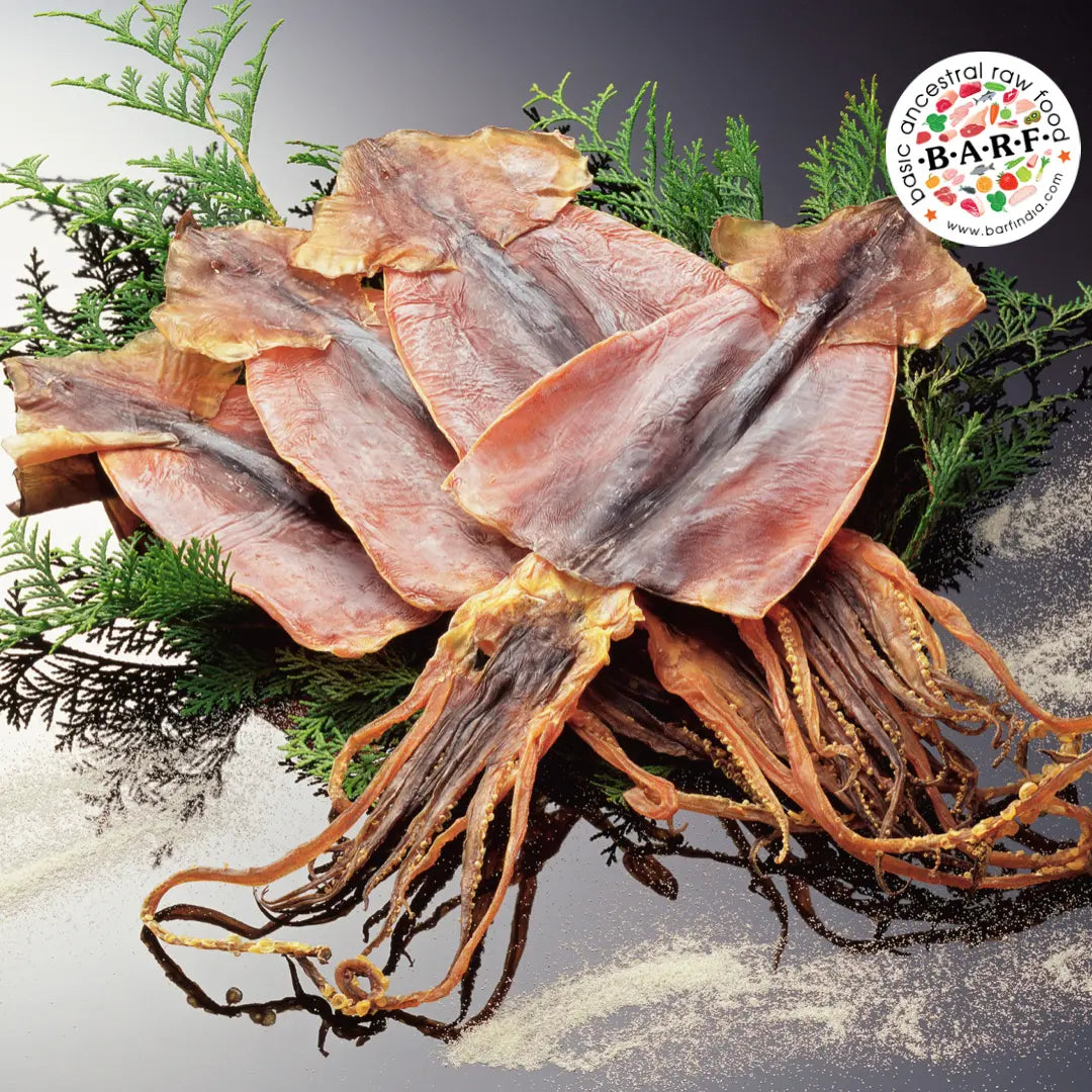 Dog Treats - Dehydrated Squids (Whole) - 60 gms from www.barfindia.com are arranged on pine branches atop a reflective surface, with the www.barfindia.com circular logo shown in the upper right corner.