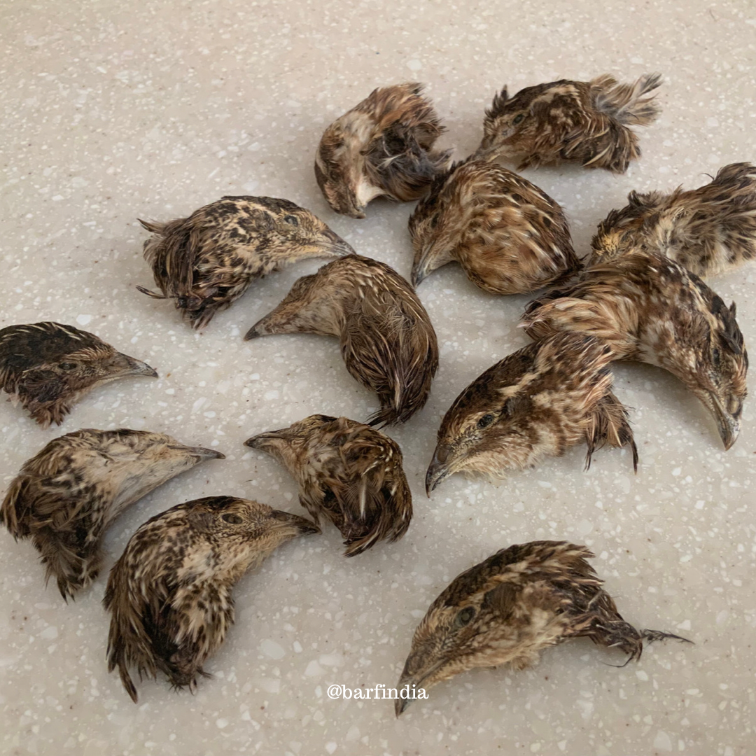 Quail Heads