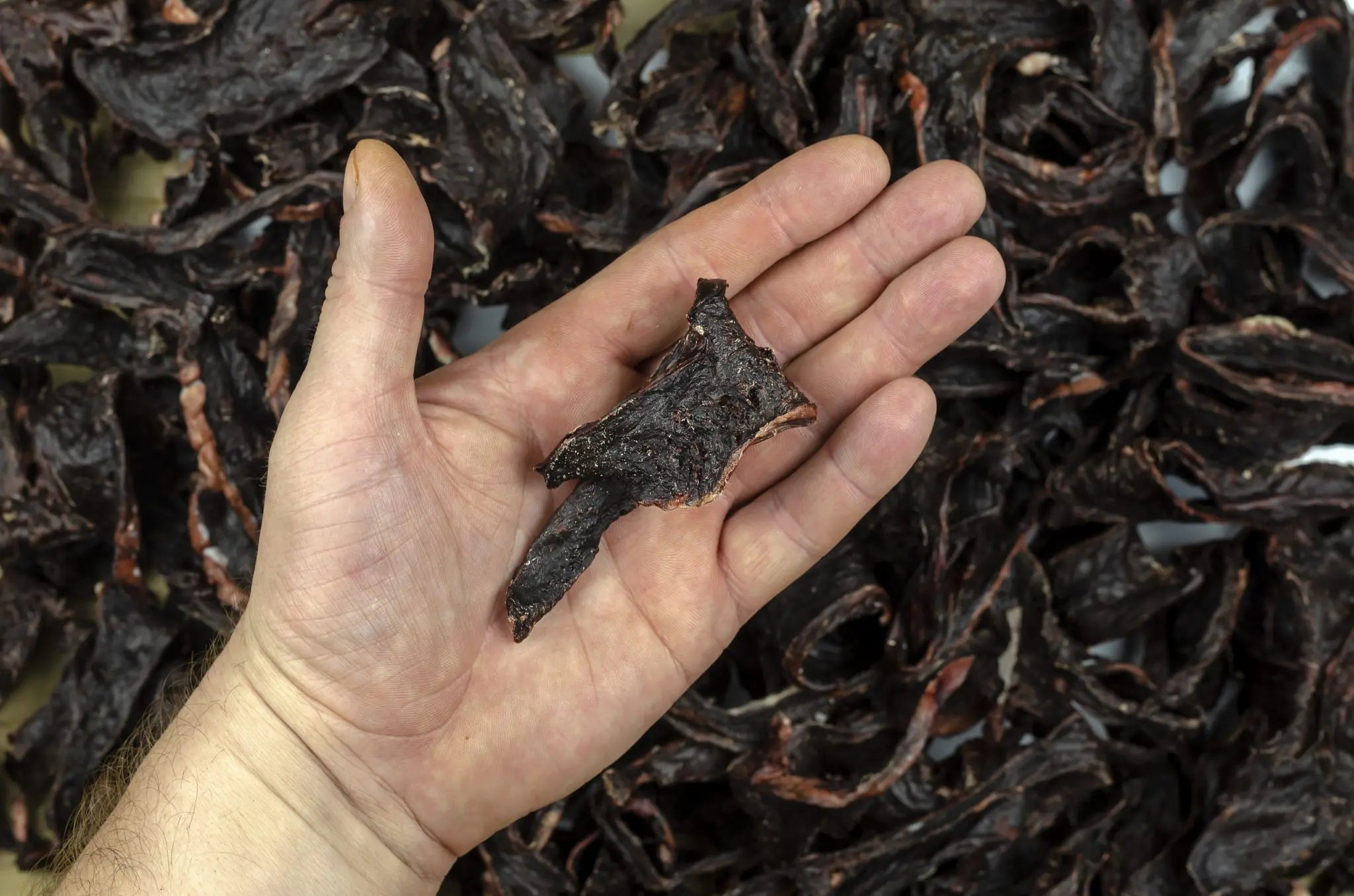 A hand holds a piece of Dog Treats Buffalo Heart - 60 gms by www.barfindia.com, with more natural buffalo heart treats in the background—ideal for your furry friend.