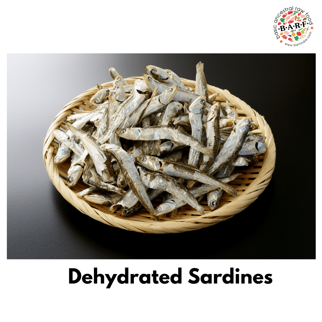 Dehydrated Sardines