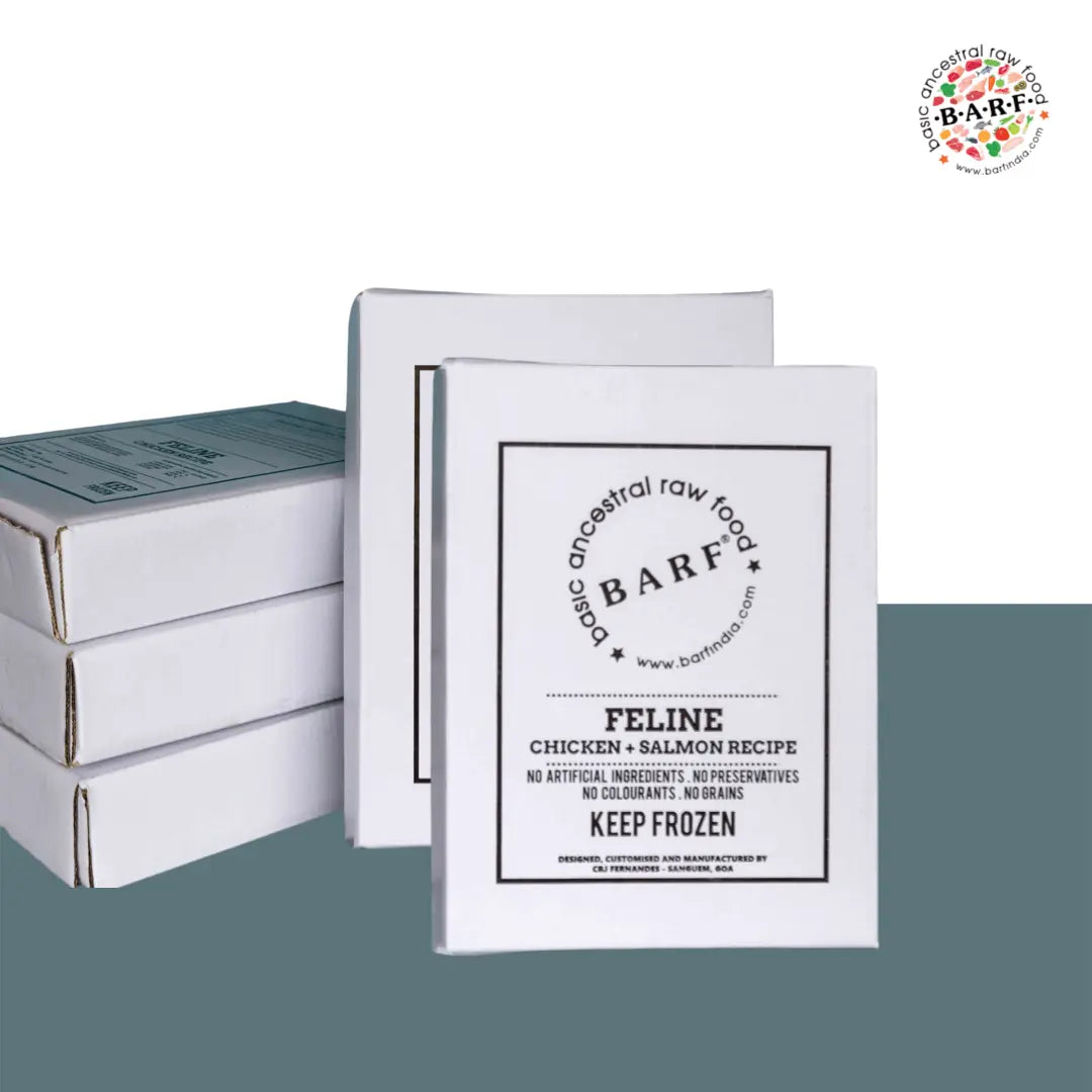 Four white rectangular boxes of www.barfindia.com Raw Cat Food – Nutrient-Rich Chicken & Salmon Recipe are stacked together. The front box highlights it is for cats, additive-free, and should be kept frozen.