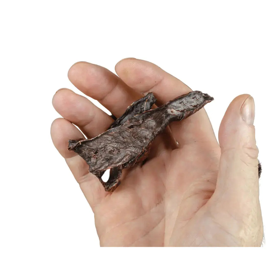 A hand holds a chunk of Dog Treats - Dehydrated Pork Tongue Chunks (100gms) from BARF India against a plain white background.