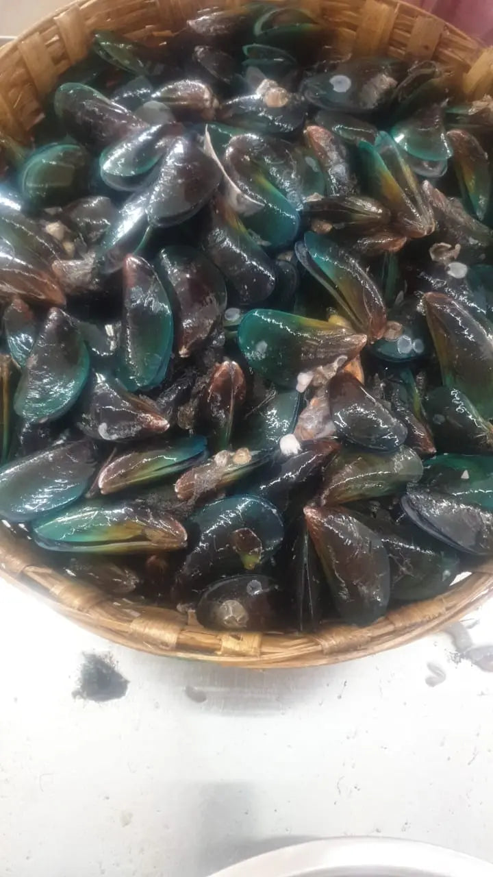 A woven basket of Joint Health - Dehydrated Green Lipped Mussels (60 gms) from www.barfindia.com, rich in natural glucosamine and chondroitin for dogs’ joint health, displayed with slightly open green and brown shells on a white surface.