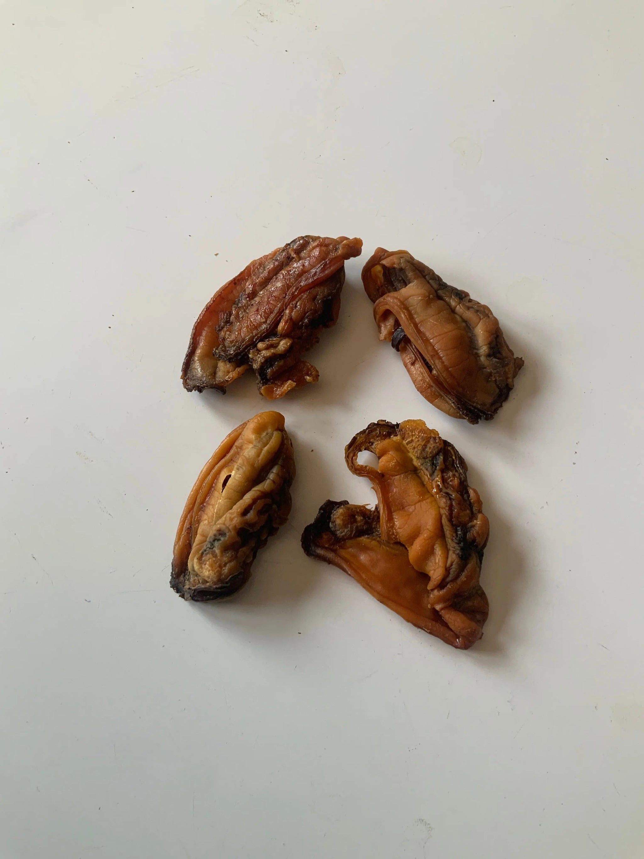 Four dehydrated green lipped mussels from www.barfindia.com’s Joint Health - Dehydrated Green Lipped Mussels (60 gms) are displayed on a white surface, showcasing their unique shapes—a natural joint health treat for dogs.