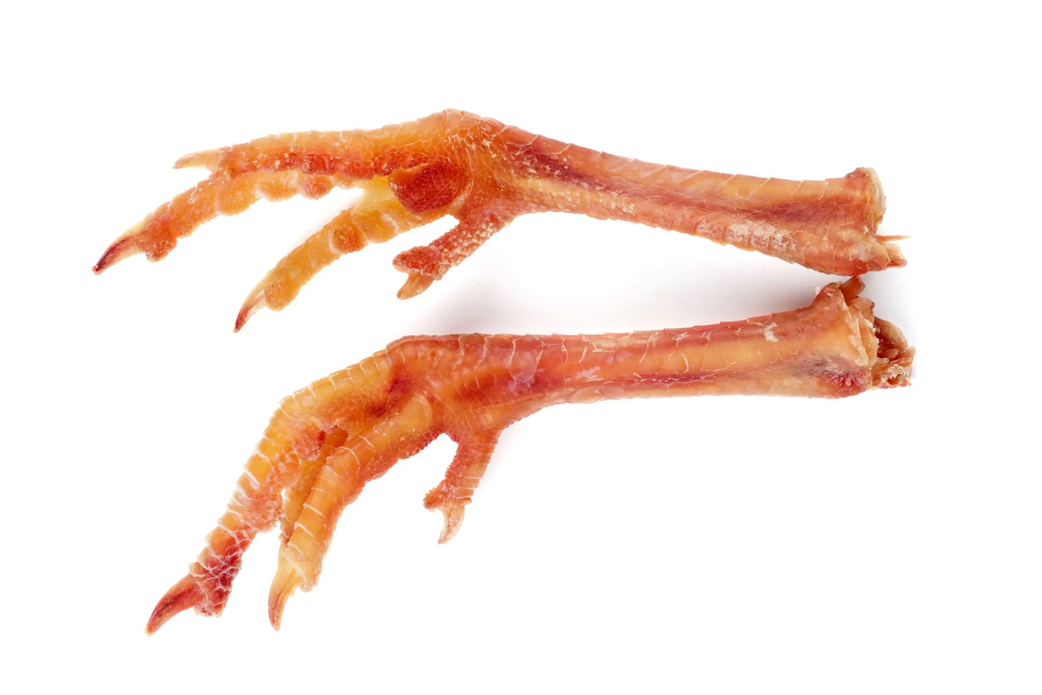 Dehydrated Chicken Feet (15 pcs, approx. 200 gms) from www.barfindia.com are the perfect dog chew treats, made from raw chicken feet with claws and scaly skin.