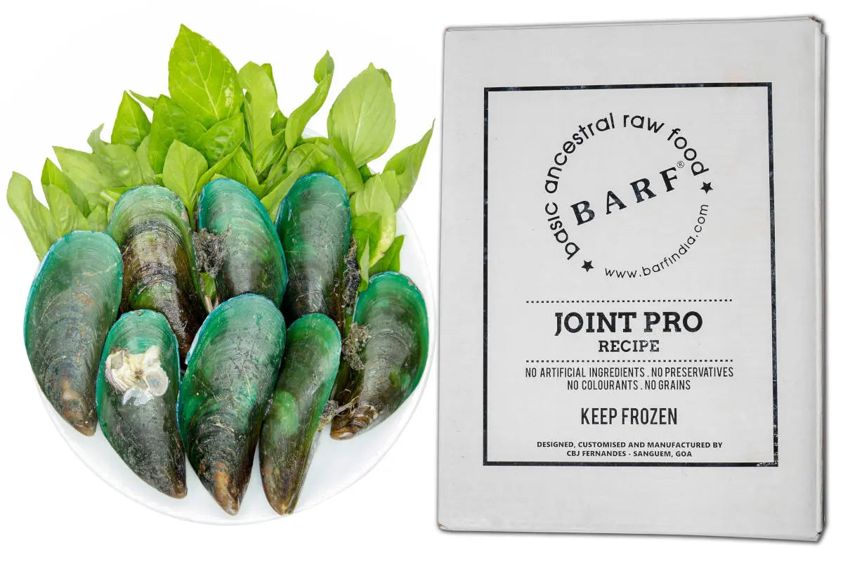 A plate of green-lipped mussels on leafy greens sits beside a www.barfindia.com Raw Dog Food for Hip & Joint Support (4kg) bag, showing joint health benefits. No artificial ingredients; keep frozen.